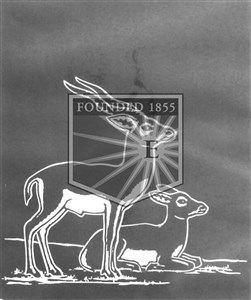 Image description is not available for 1969.062(HHC)